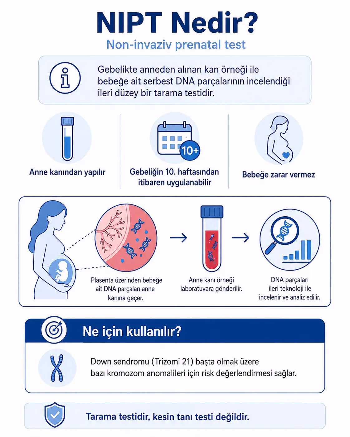 NIPT nedir ve ne zaman yapılır image